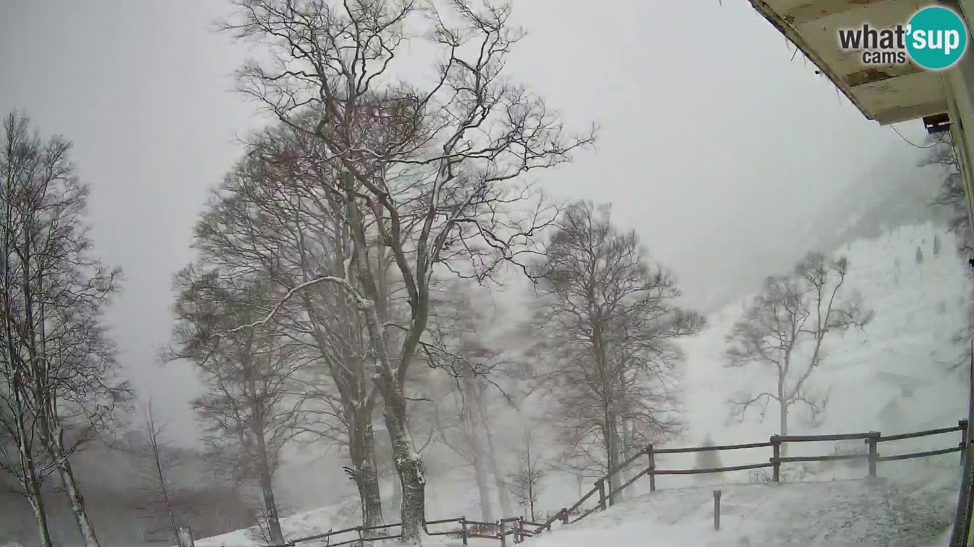 Refuge de la montagne Planina Razor caméra en direct (1315) | vue sur Tolminski Migovec