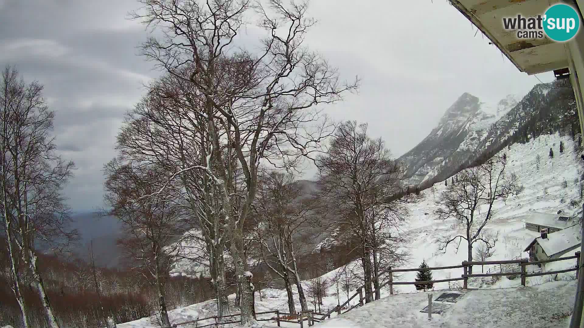 Planina Razor Bergütte Webcam (1315) | Blick auf Tolminski Migovec