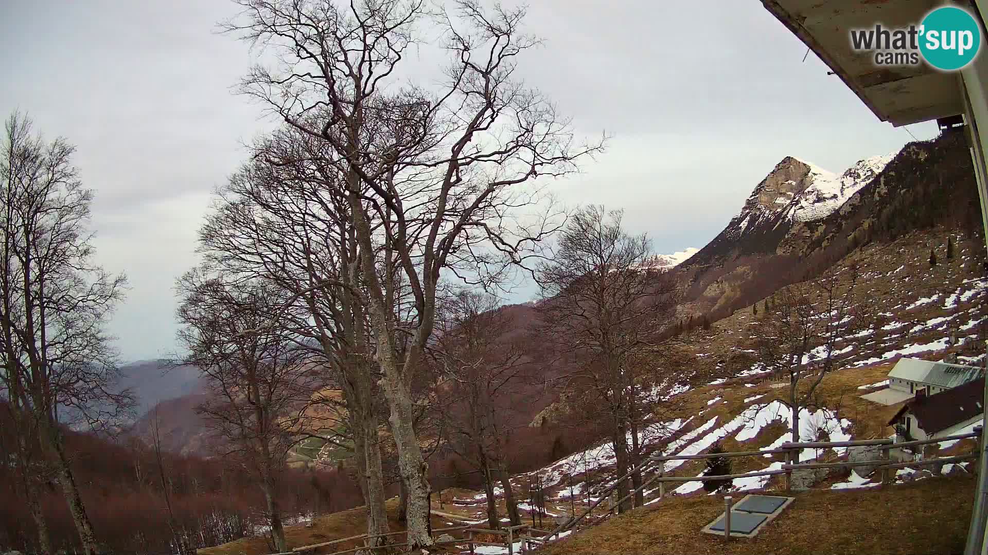 Planina Razor Bergütte Webcam (1315) | Blick auf Tolminski Migovec