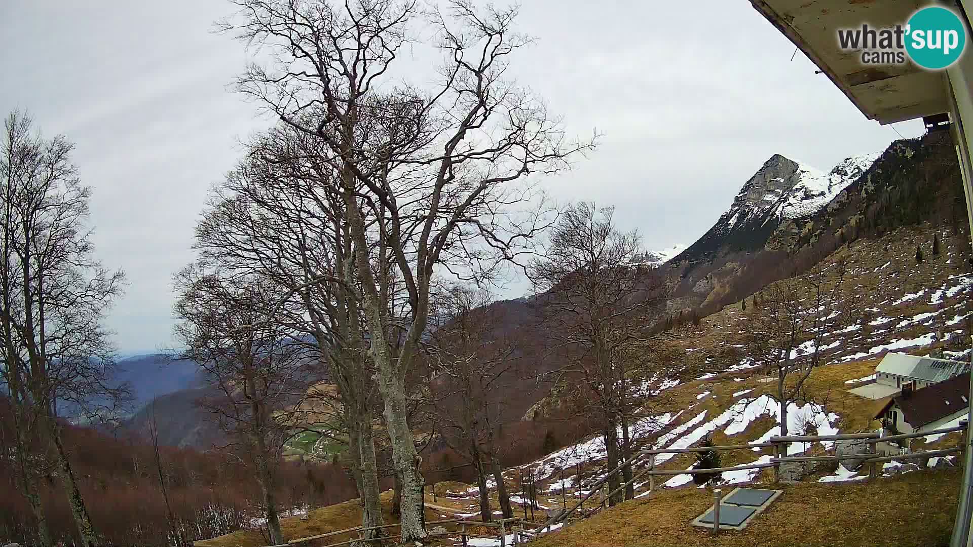 Koča na Planini Razor spletna kamera (1315) | Pogled na Tolminski Migovec