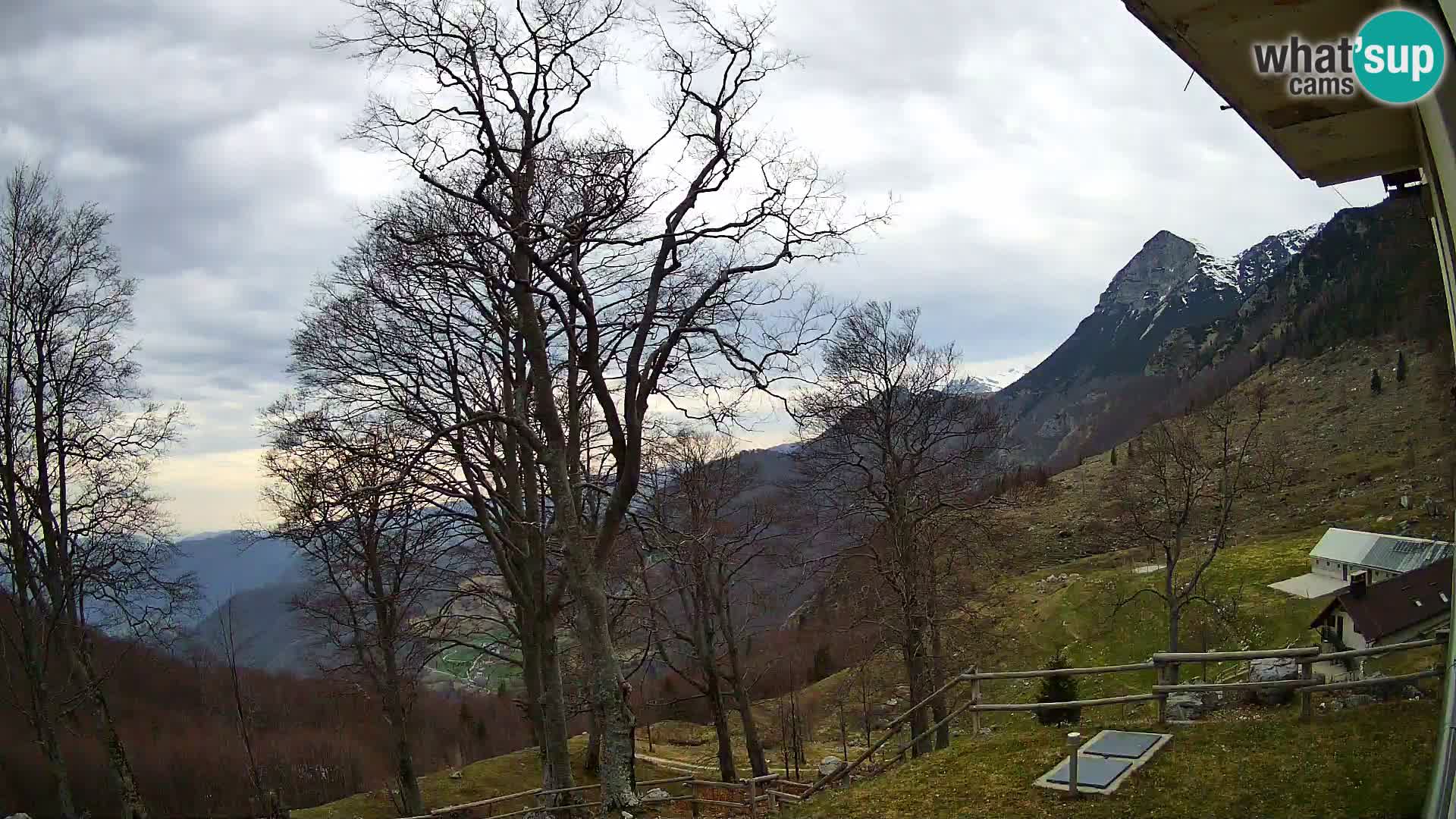 Koča na Planini Razor spletna kamera (1315) | Pogled na Tolminski Migovec