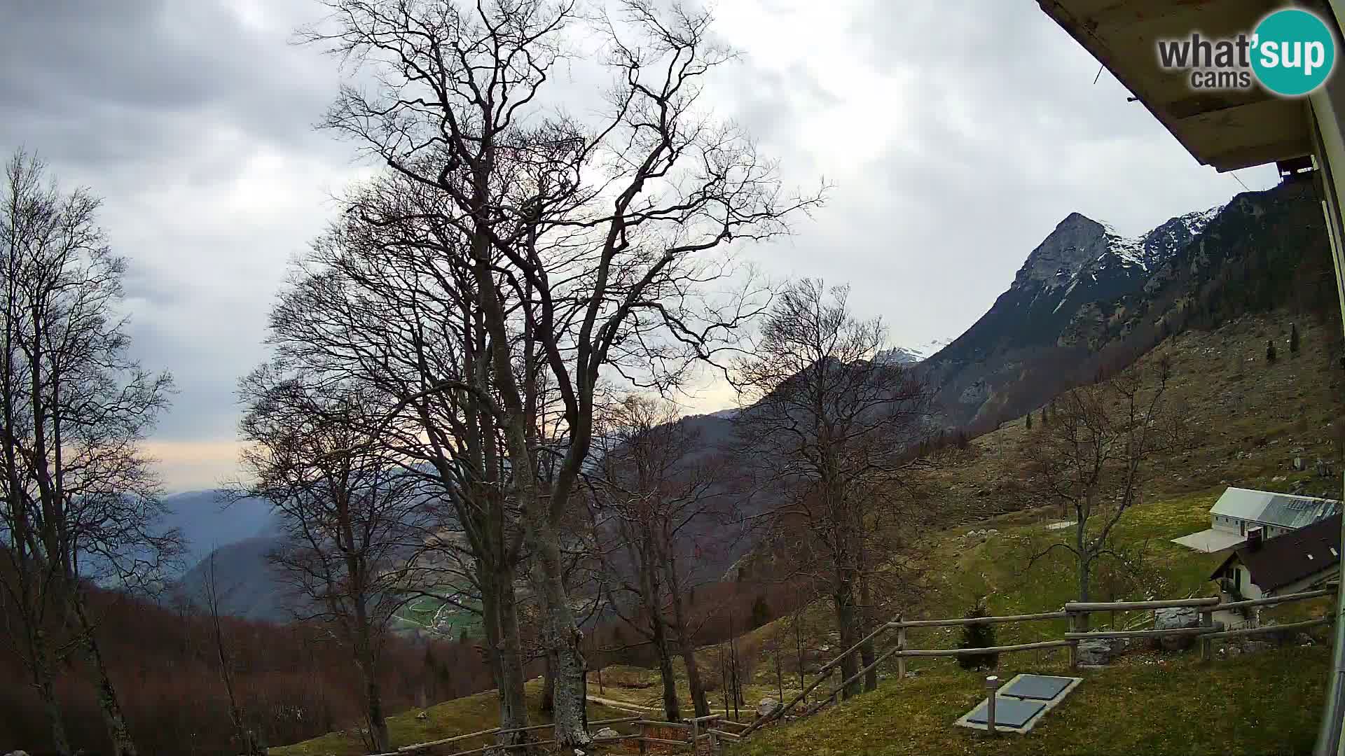 Cámara en vivo de la cabaña de montaña Planina Razor (1315) | vista hacia Tolminski Migovec