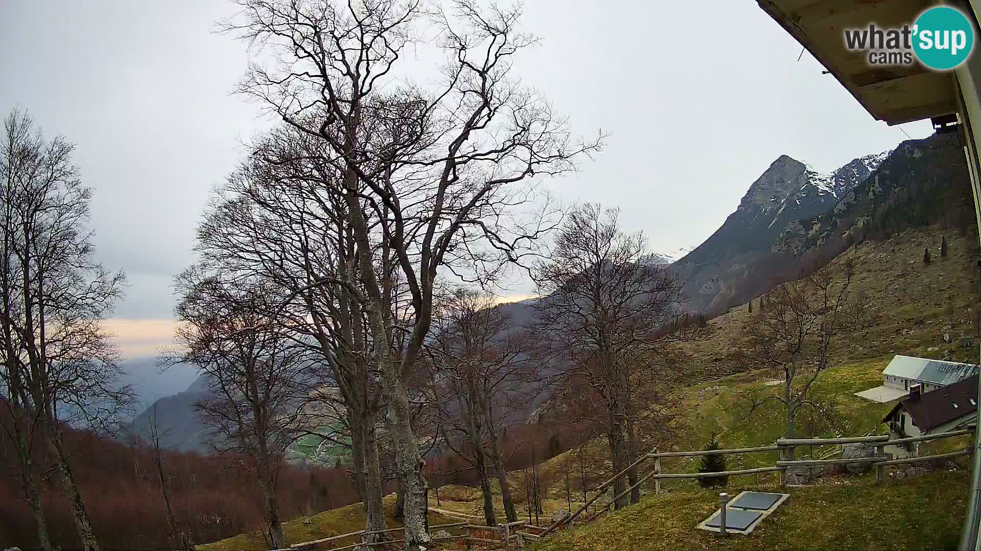Baita di montagna Planina Razor webcam (1315) | vista su Tolminski Migovec