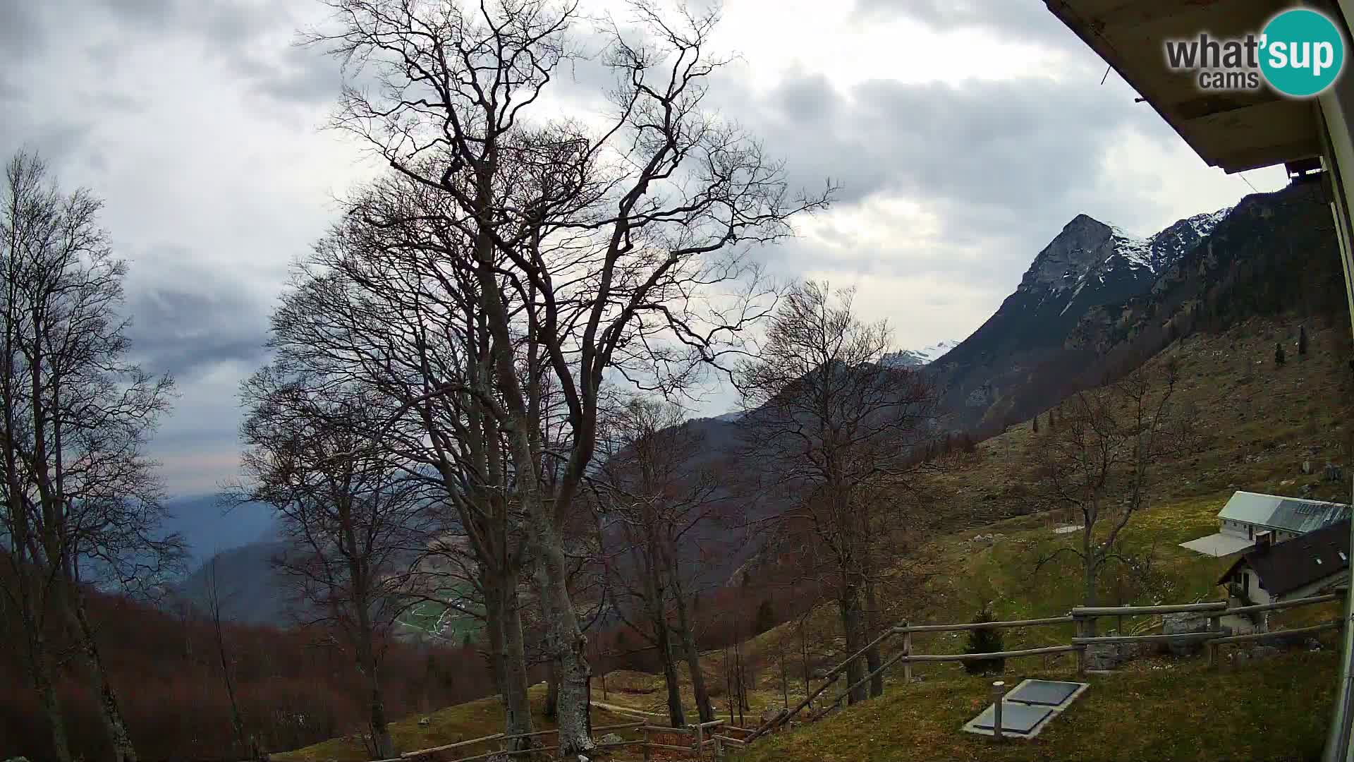 Baita di montagna Planina Razor webcam (1315) | vista su Tolminski Migovec