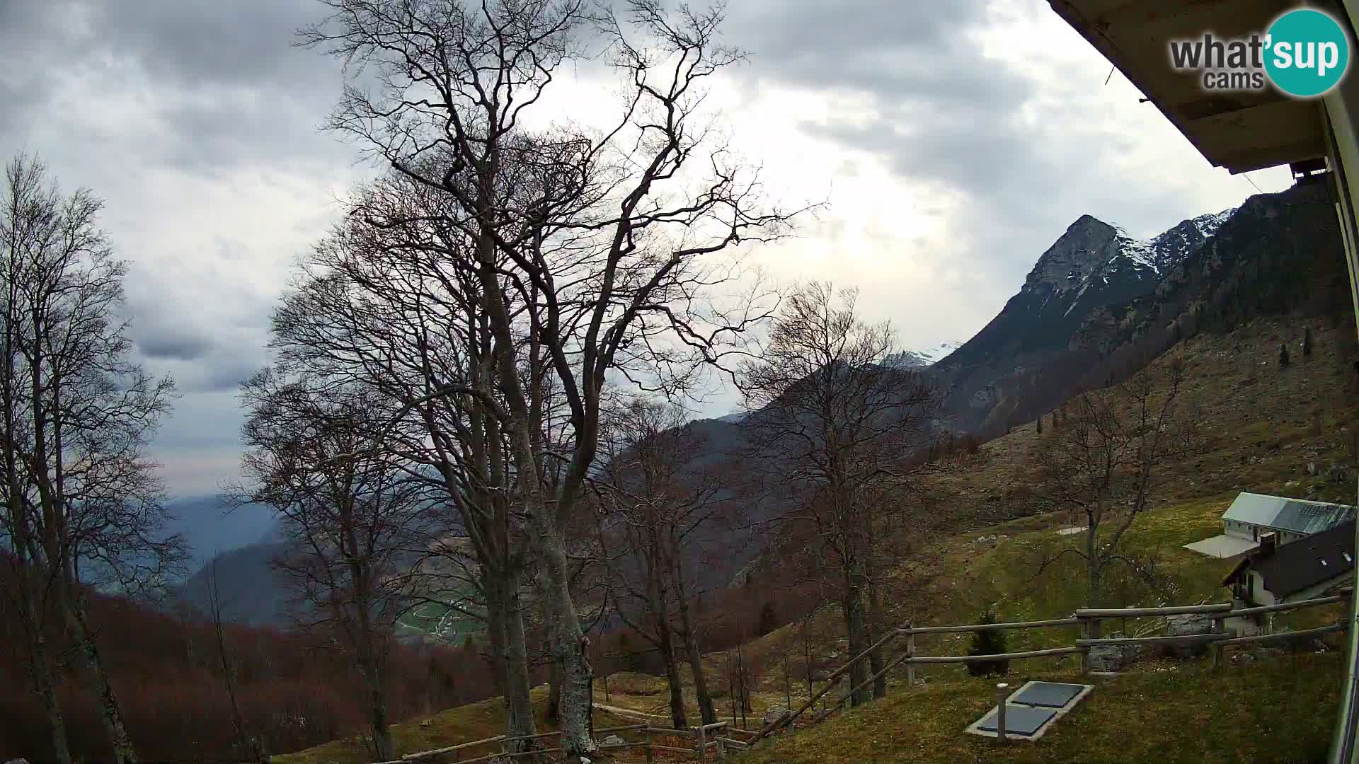 Baita di montagna Planina Razor webcam (1315) | vista su Tolminski Migovec