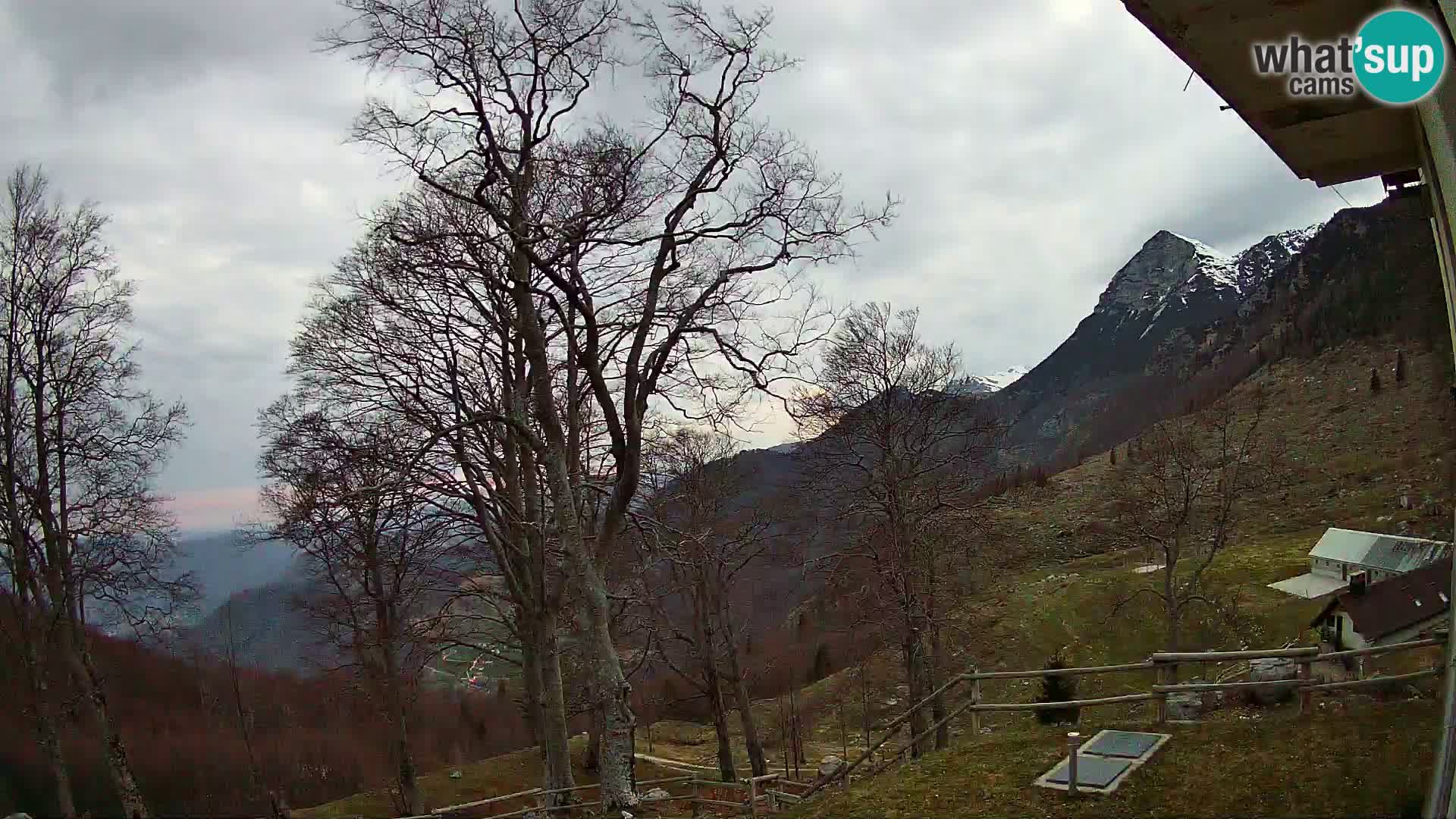Planina Razor Bergütte Webcam (1315) | Blick auf Tolminski Migovec