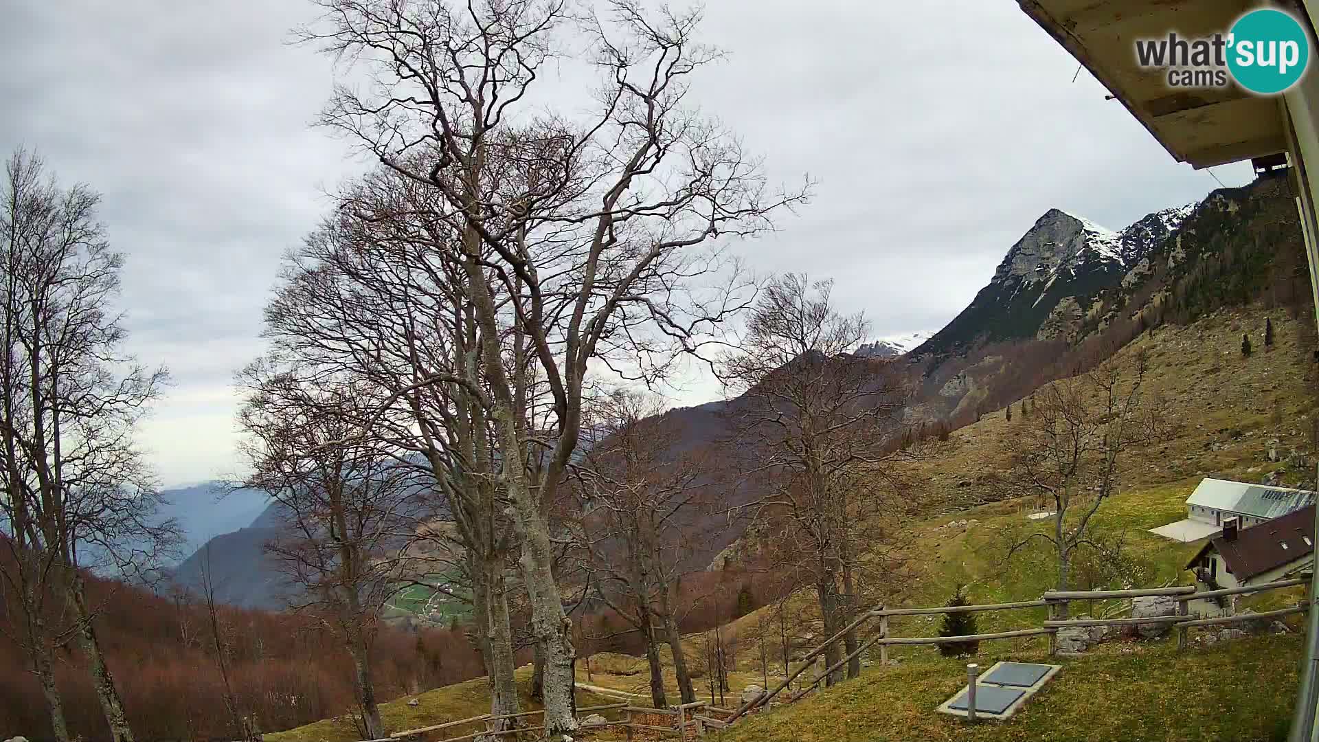 Baita di montagna Planina Razor webcam (1315) | vista su Tolminski Migovec