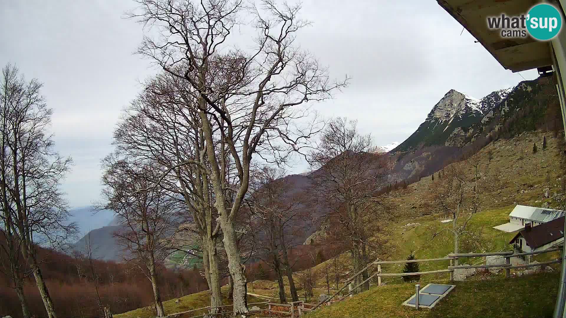 Planina Razor Bergütte Webcam (1315) | Blick auf Tolminski Migovec