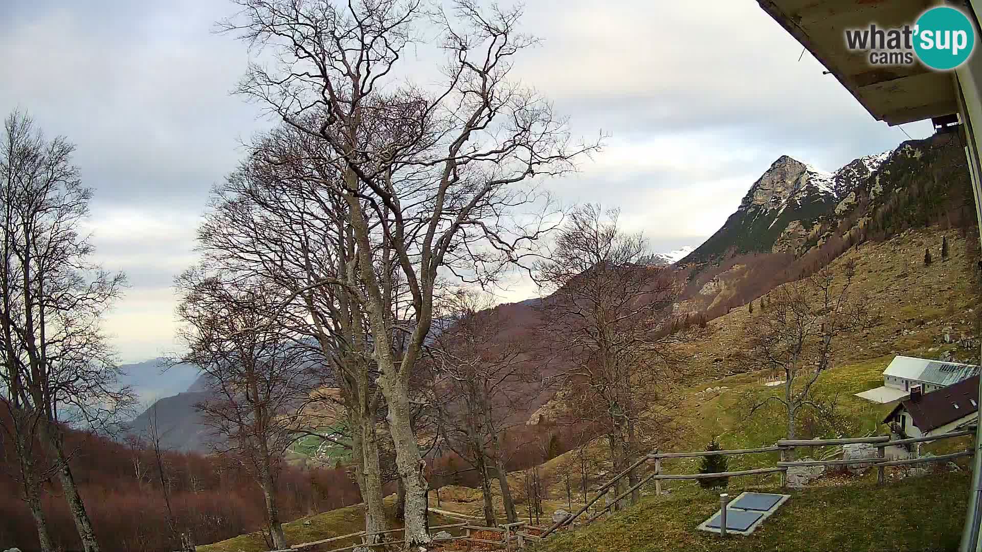 Planina Razor Bergütte Webcam (1315) | Blick auf Tolminski Migovec