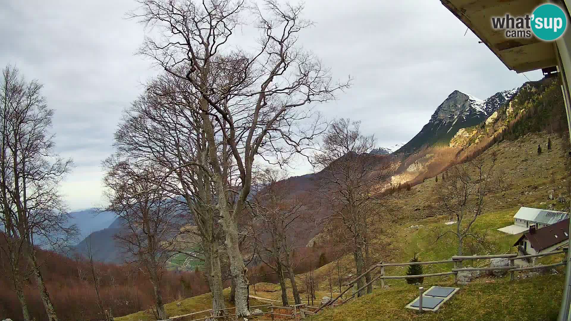 Baita di montagna Planina Razor webcam (1315) | vista su Tolminski Migovec