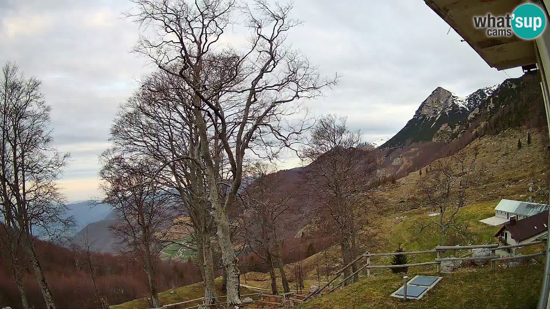 Planina Razor Bergütte Webcam (1315) | Blick auf Tolminski Migovec