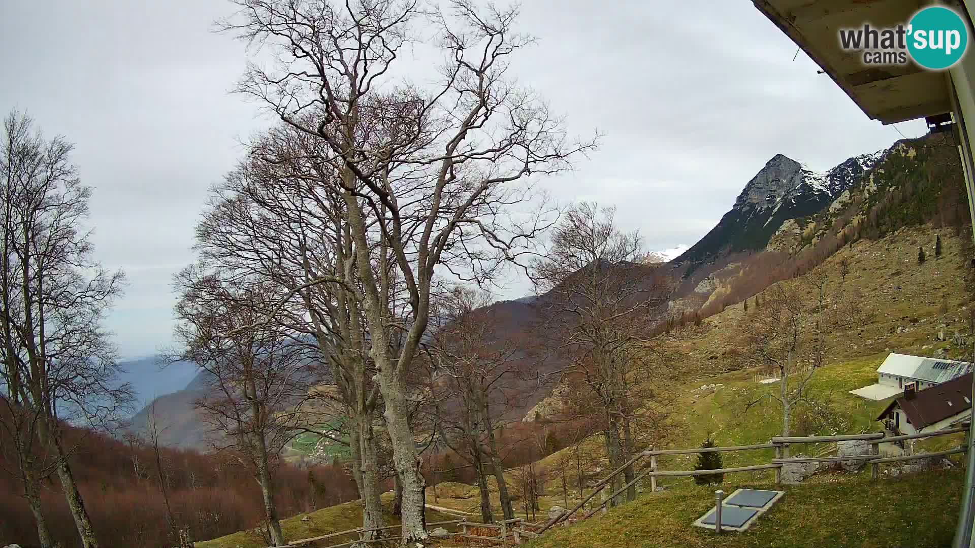 Planina Razor Mountain Hut live cam (1315) | view to Tolminski Migovec