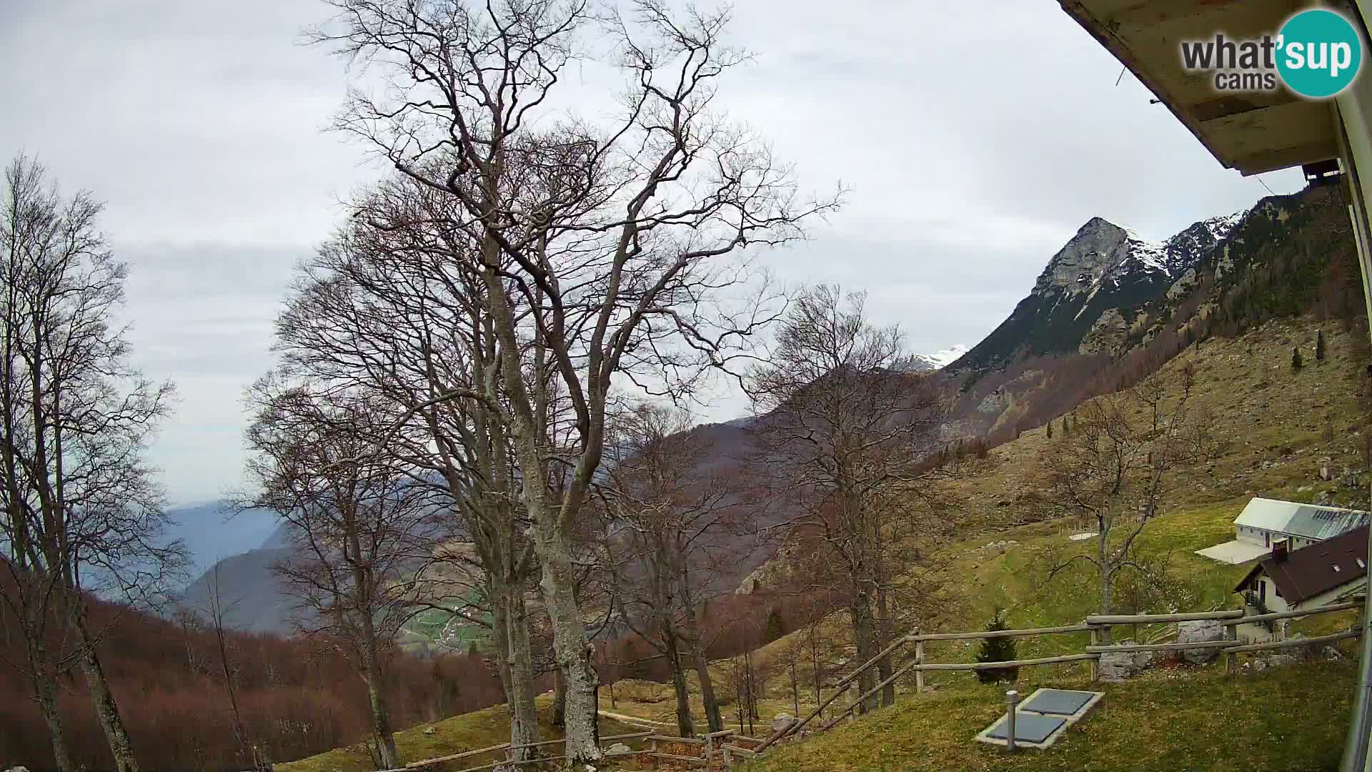 Planina Razor Mountain Hut live cam (1315) | view to Tolminski Migovec