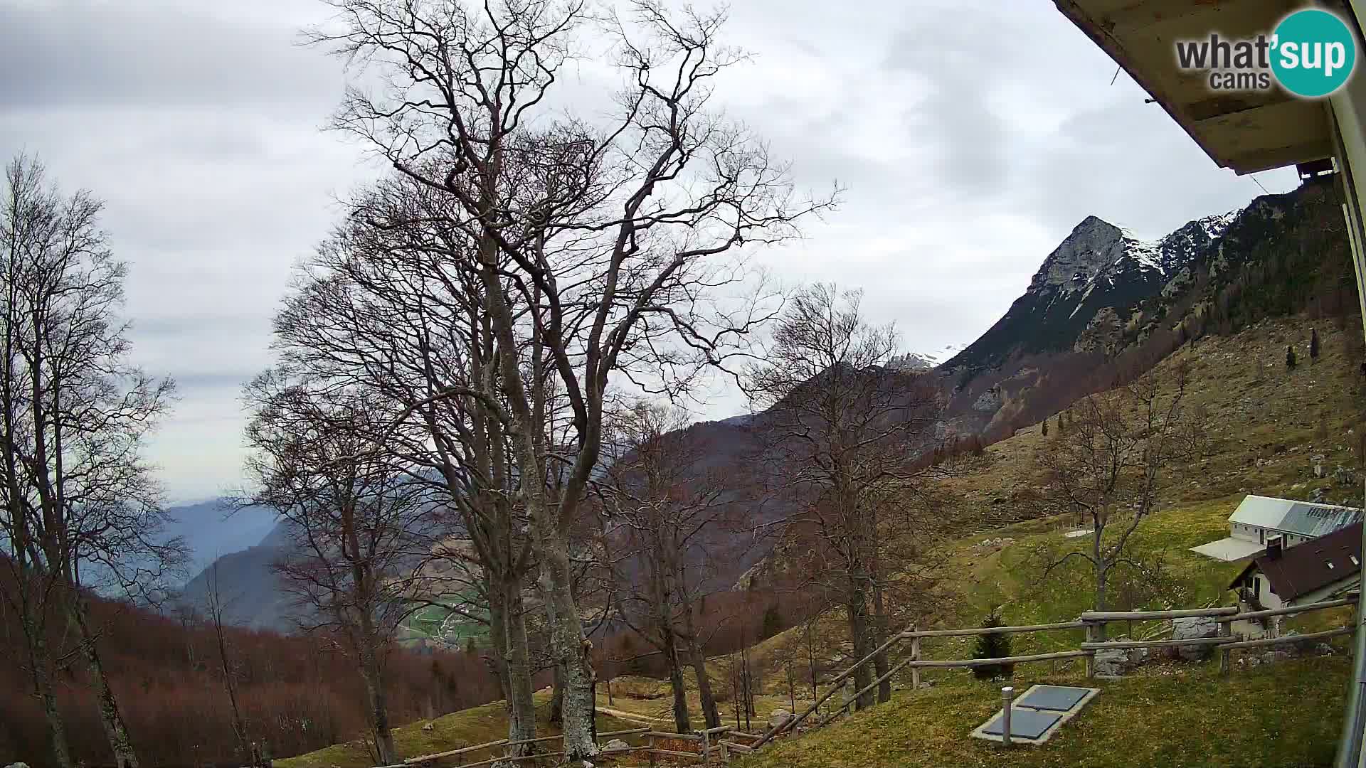 Refuge de la montagne Planina Razor caméra en direct (1315) | vue sur Tolminski Migovec