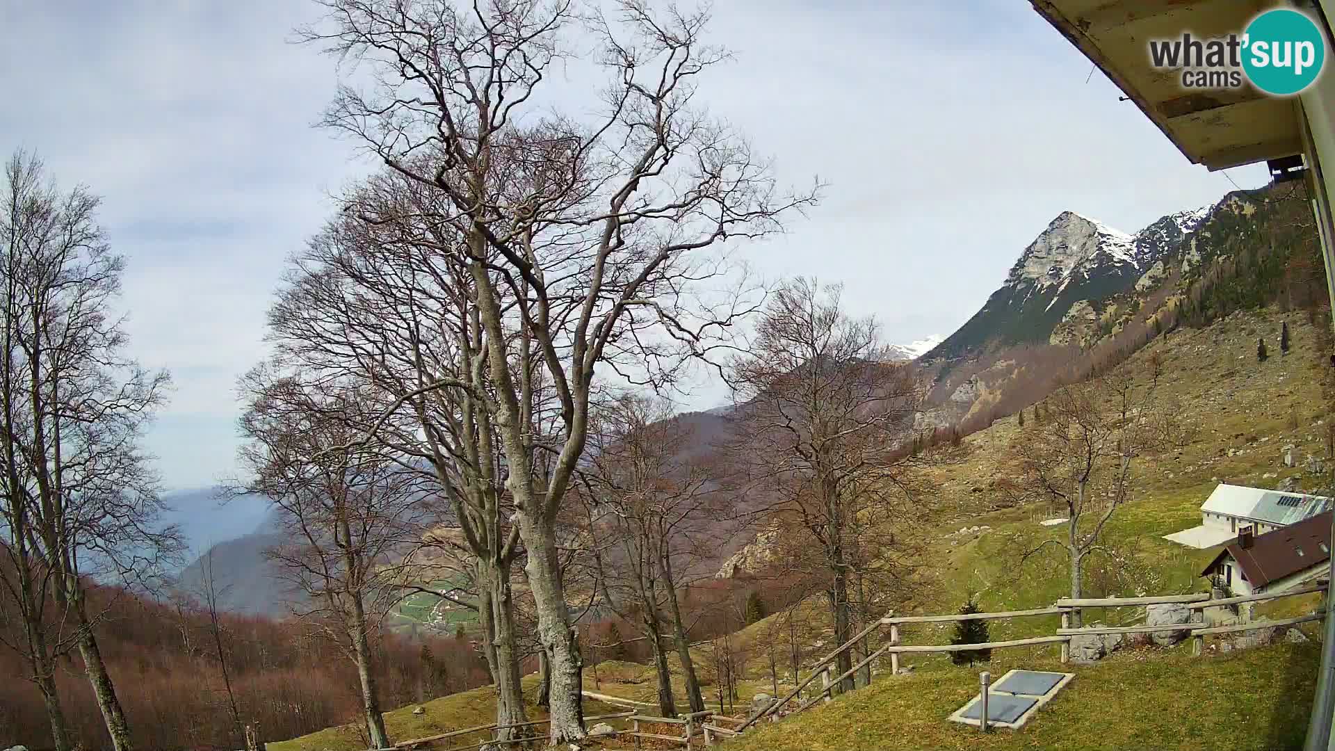 Cámara en vivo de la cabaña de montaña Planina Razor (1315) | vista hacia Tolminski Migovec
