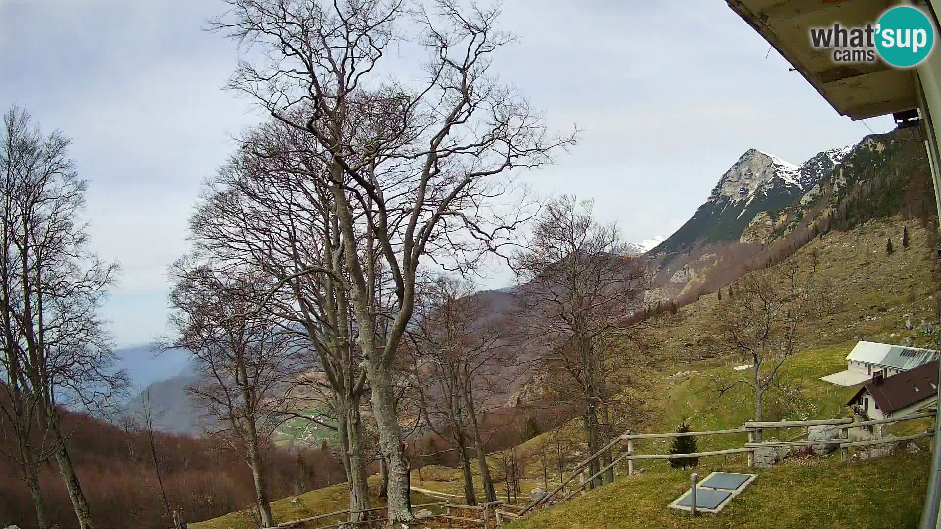 Planina Razor Mountain Hut live cam (1315) | view to Tolminski Migovec