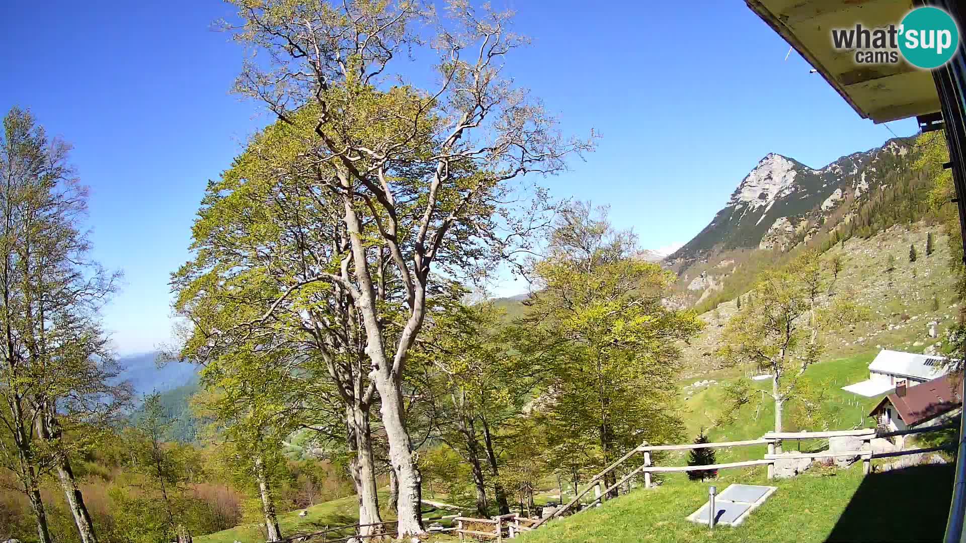 Planina Razor Mountain Hut live cam (1315) | view to Tolminski Migovec