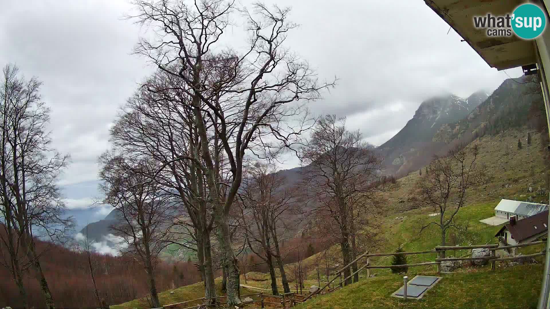 Baita di montagna Planina Razor webcam (1315) | vista su Tolminski Migovec