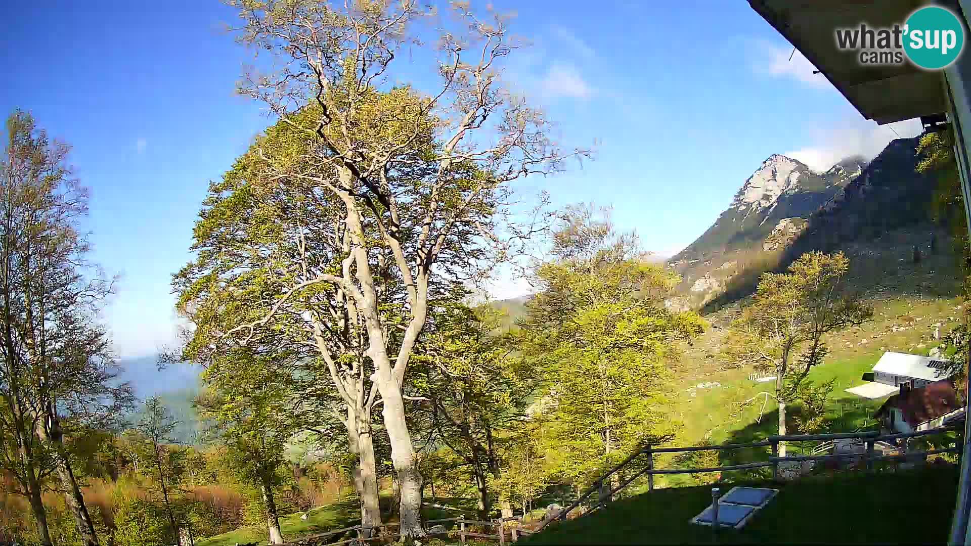 Refuge de la montagne Planina Razor caméra en direct (1315) | vue sur Tolminski Migovec