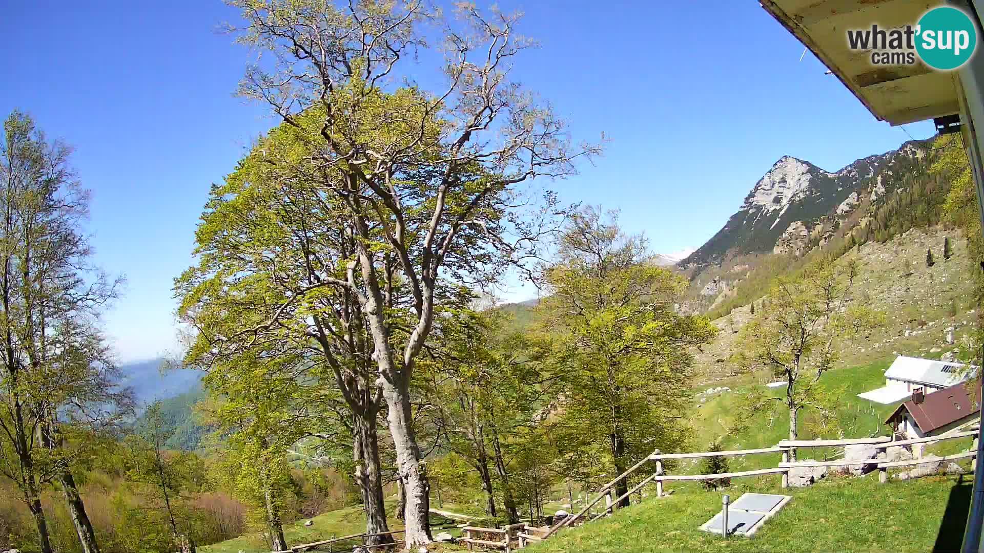 Baita di montagna Planina Razor webcam (1315) | vista su Tolminski Migovec