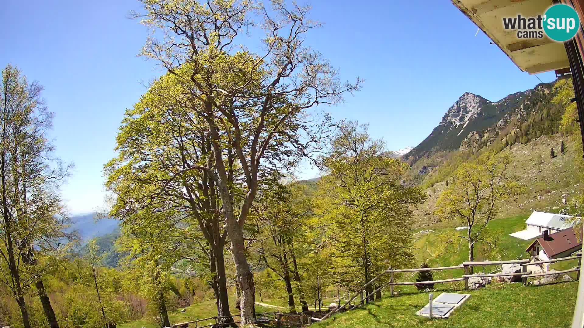 Refuge de la montagne Planina Razor caméra en direct (1315) | vue sur Tolminski Migovec