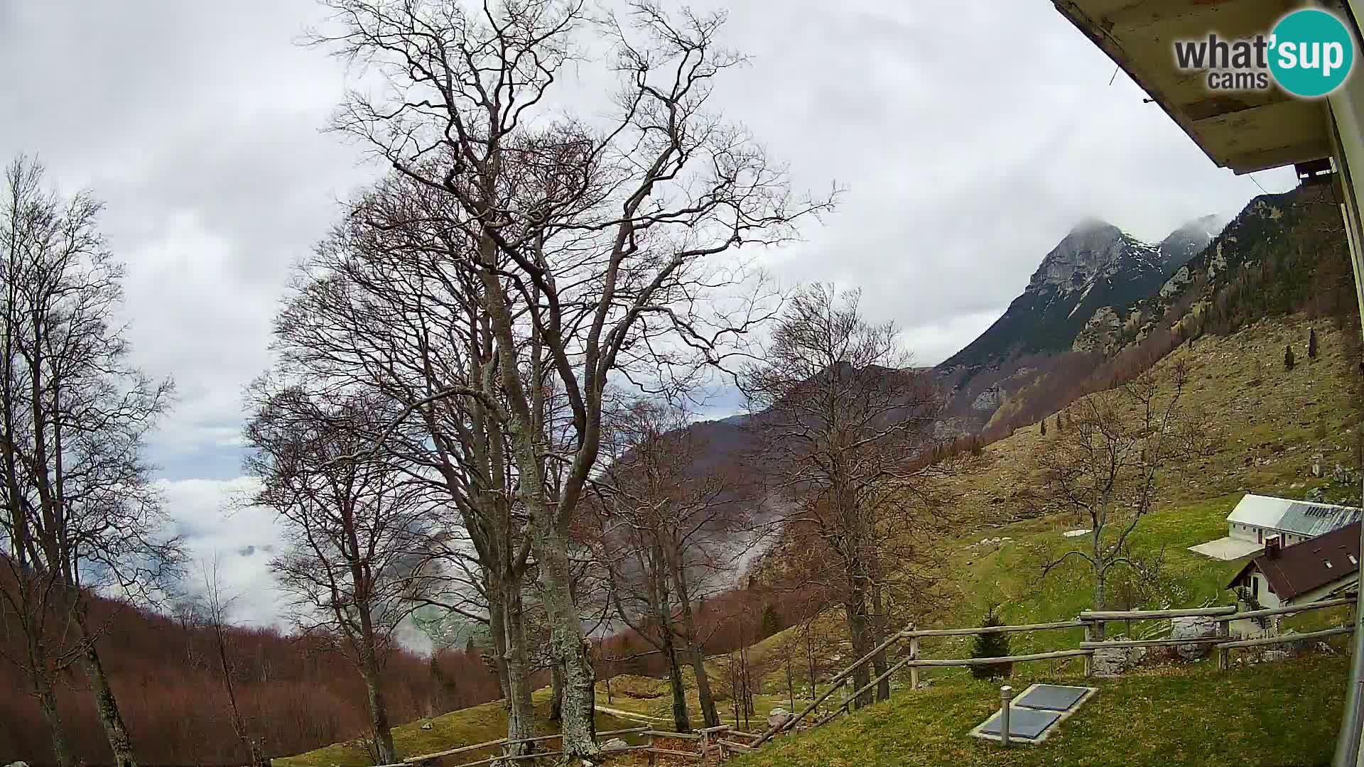 Planina Razor Bergütte Webcam (1315) | Blick auf Tolminski Migovec