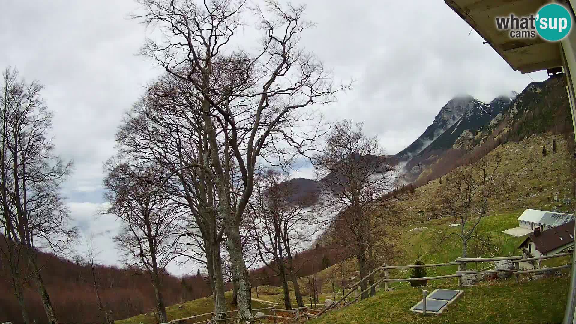 Planina Razor Bergütte Webcam (1315) | Blick auf Tolminski Migovec