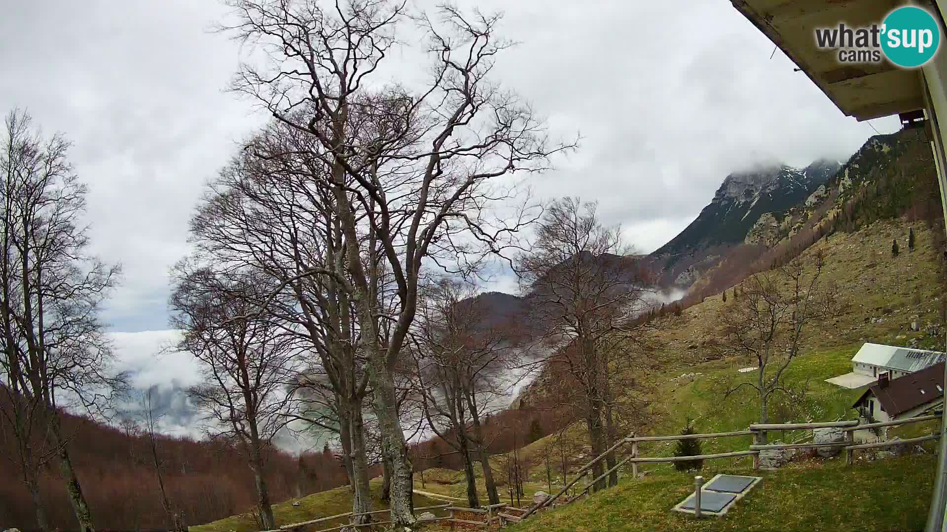 Planina Razor Mountain Hut live cam (1315) | view to Tolminski Migovec