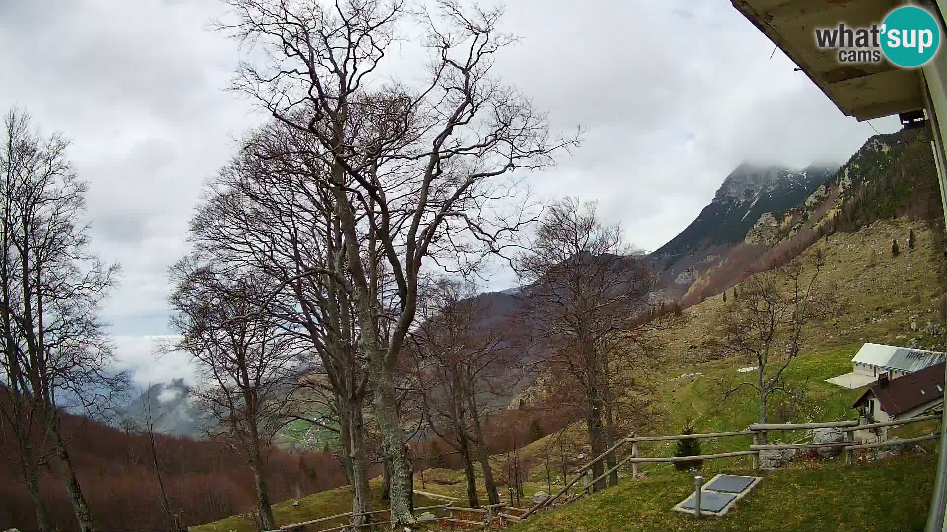 Cámara en vivo de la cabaña de montaña Planina Razor (1315) | vista hacia Tolminski Migovec