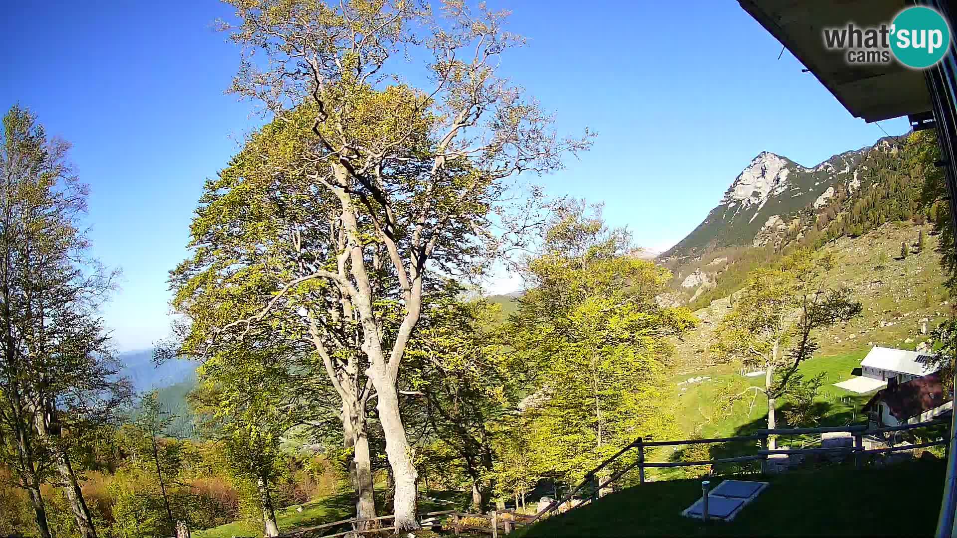 Planina Razor Bergütte Webcam (1315) | Blick auf Tolminski Migovec