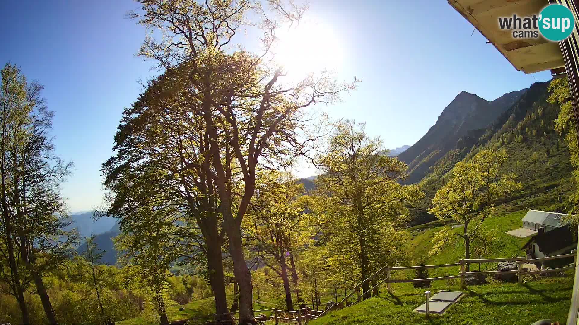 Planina Razor Mountain Hut live cam (1315) | view to Tolminski Migovec