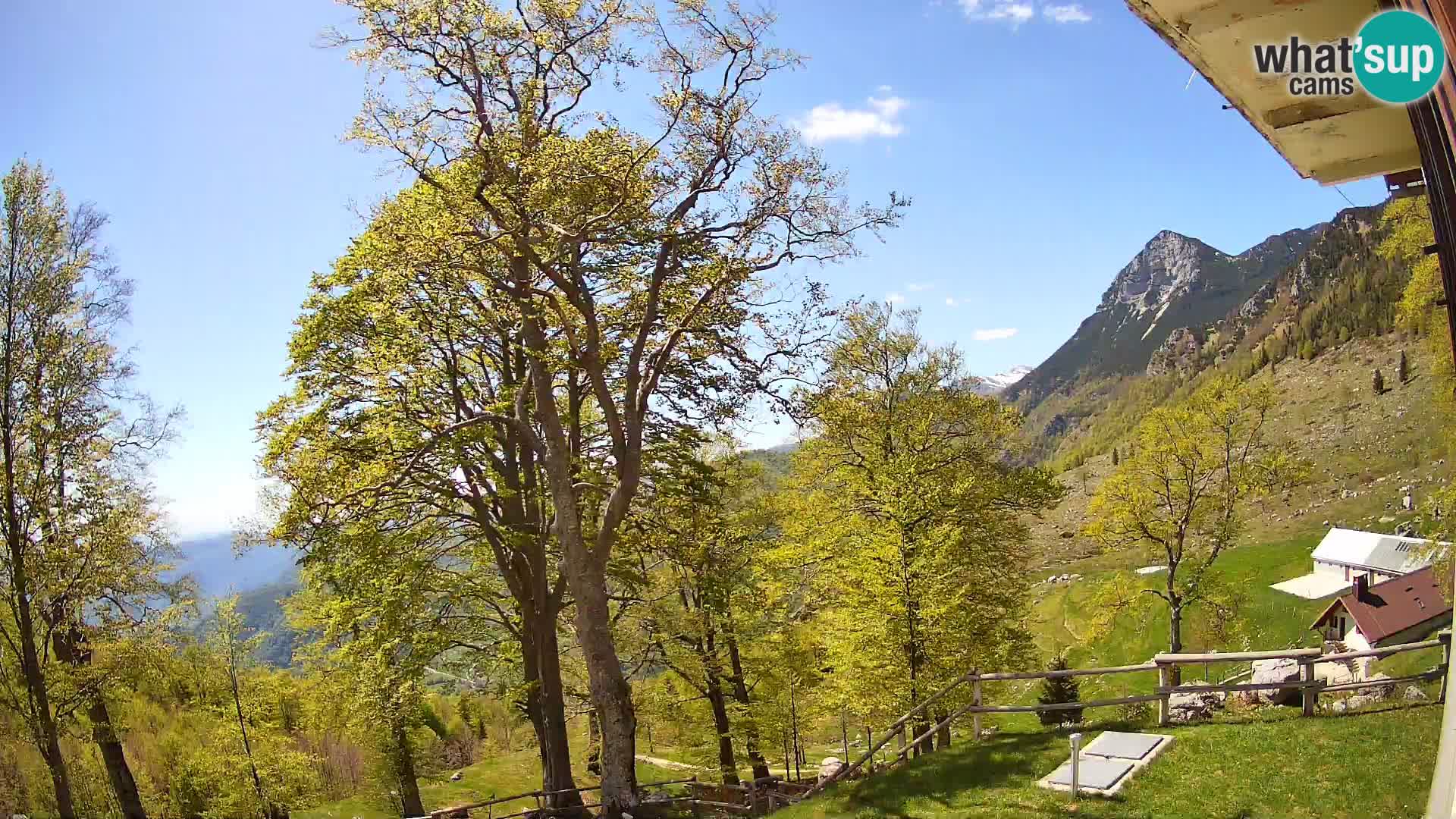 Planina Razor Mountain Hut live cam (1315) | view to Tolminski Migovec