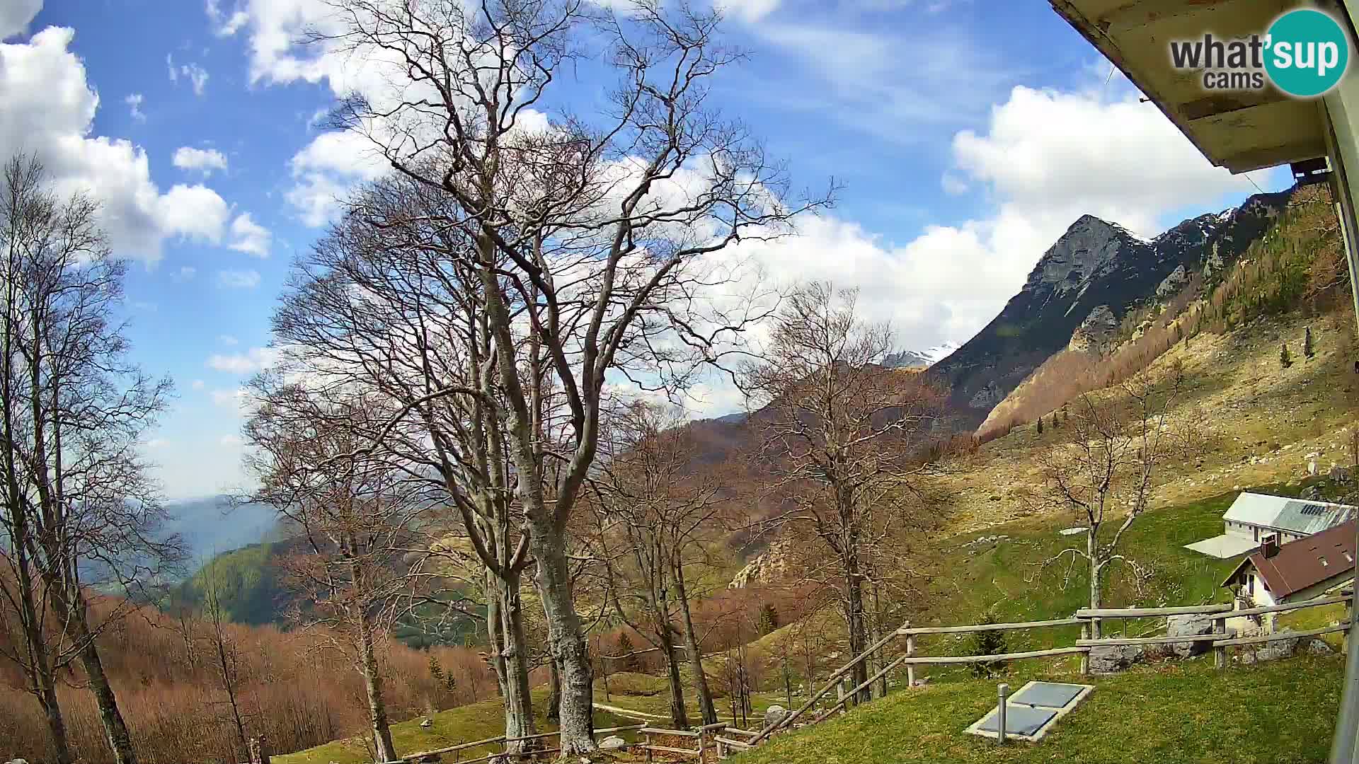 Baita di montagna Planina Razor webcam (1315) | vista su Tolminski Migovec