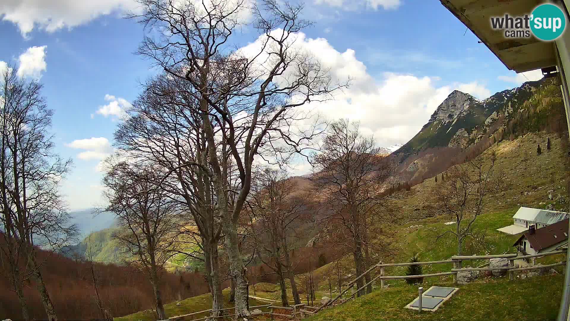 Baita di montagna Planina Razor webcam (1315) | vista su Tolminski Migovec
