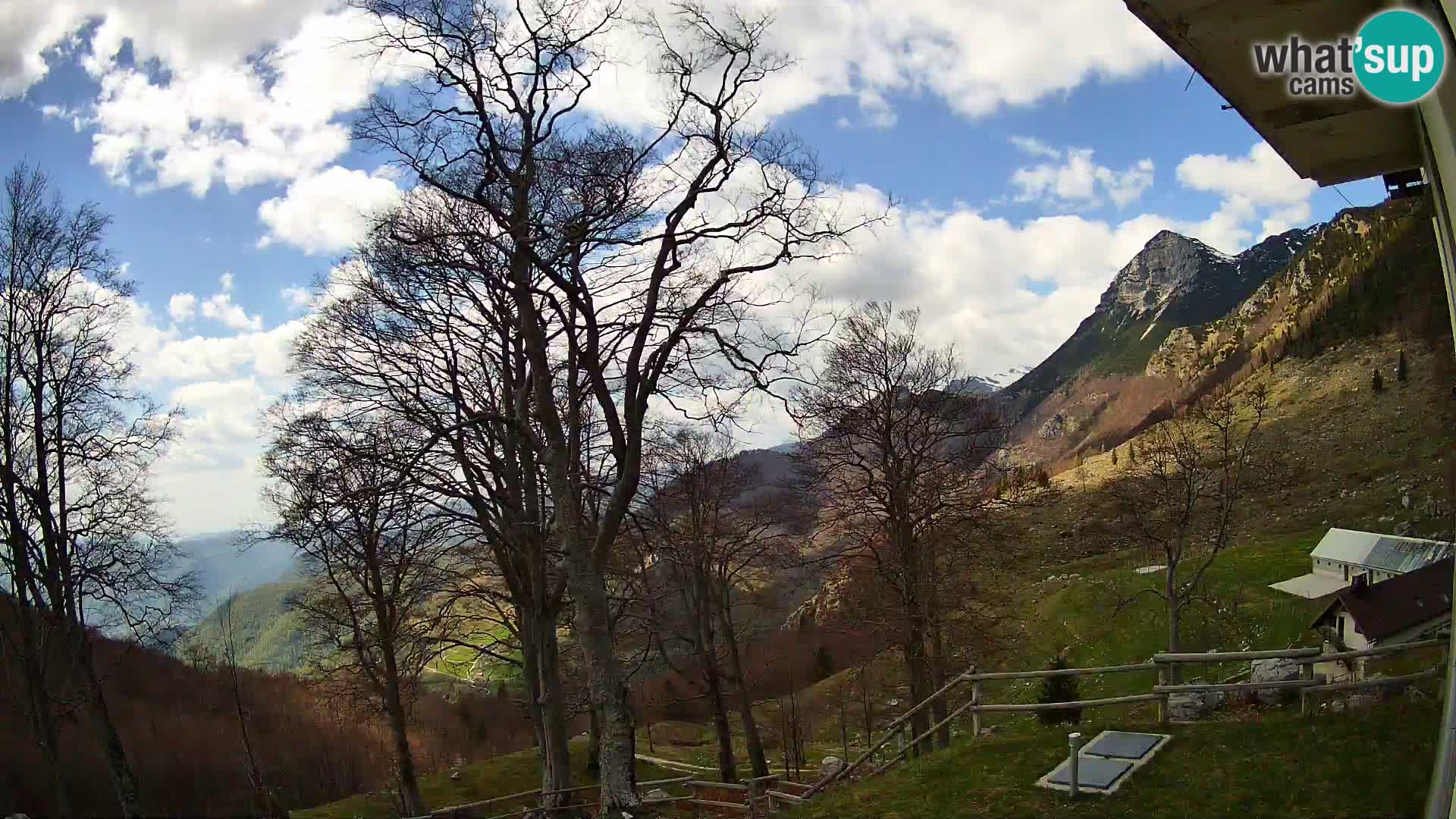 Baita di montagna Planina Razor webcam (1315) | vista su Tolminski Migovec
