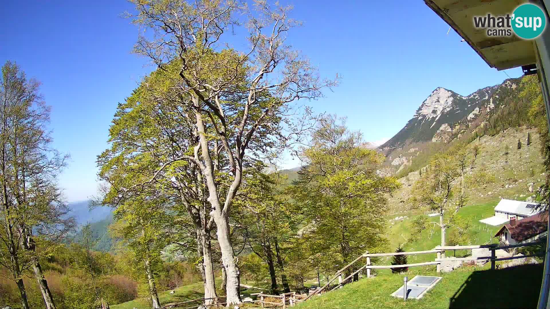 Refuge de la montagne Planina Razor caméra en direct (1315) | vue sur Tolminski Migovec