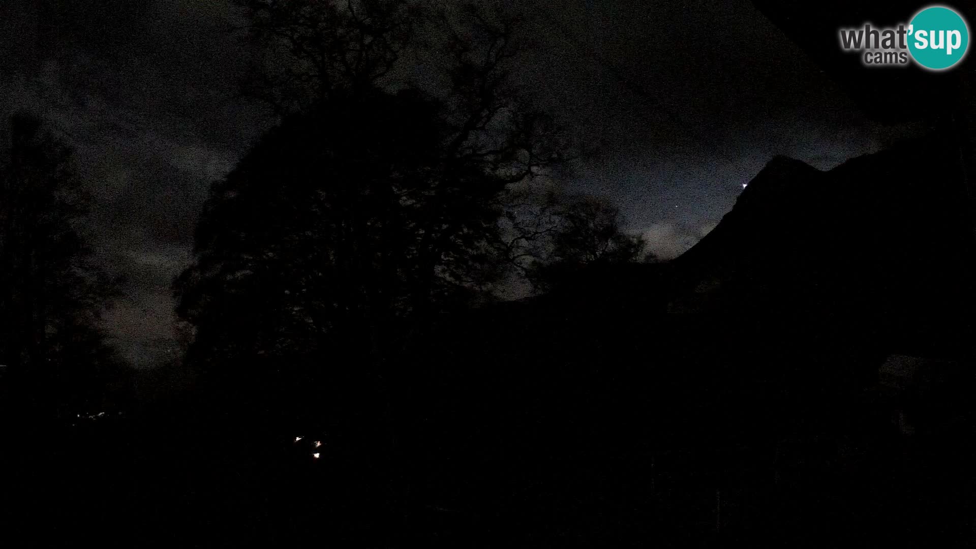 Baita di montagna Planina Razor webcam (1315) | vista su Tolminski Migovec