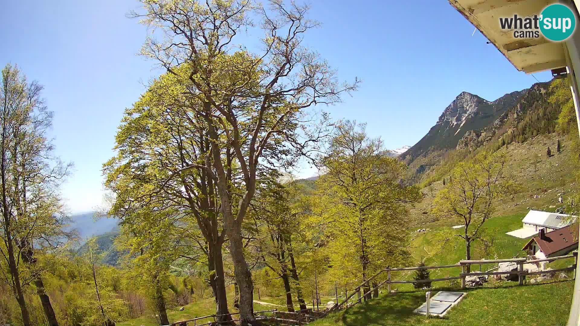 Planinarski dom na planini Razor (1315) | Pogled na Tolminski Migovec