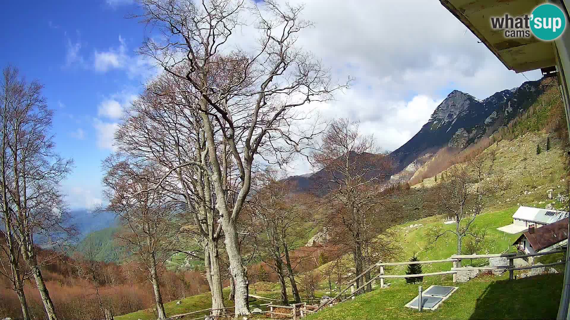 Planina Razor Mountain Hut live cam (1315) | view to Tolminski Migovec