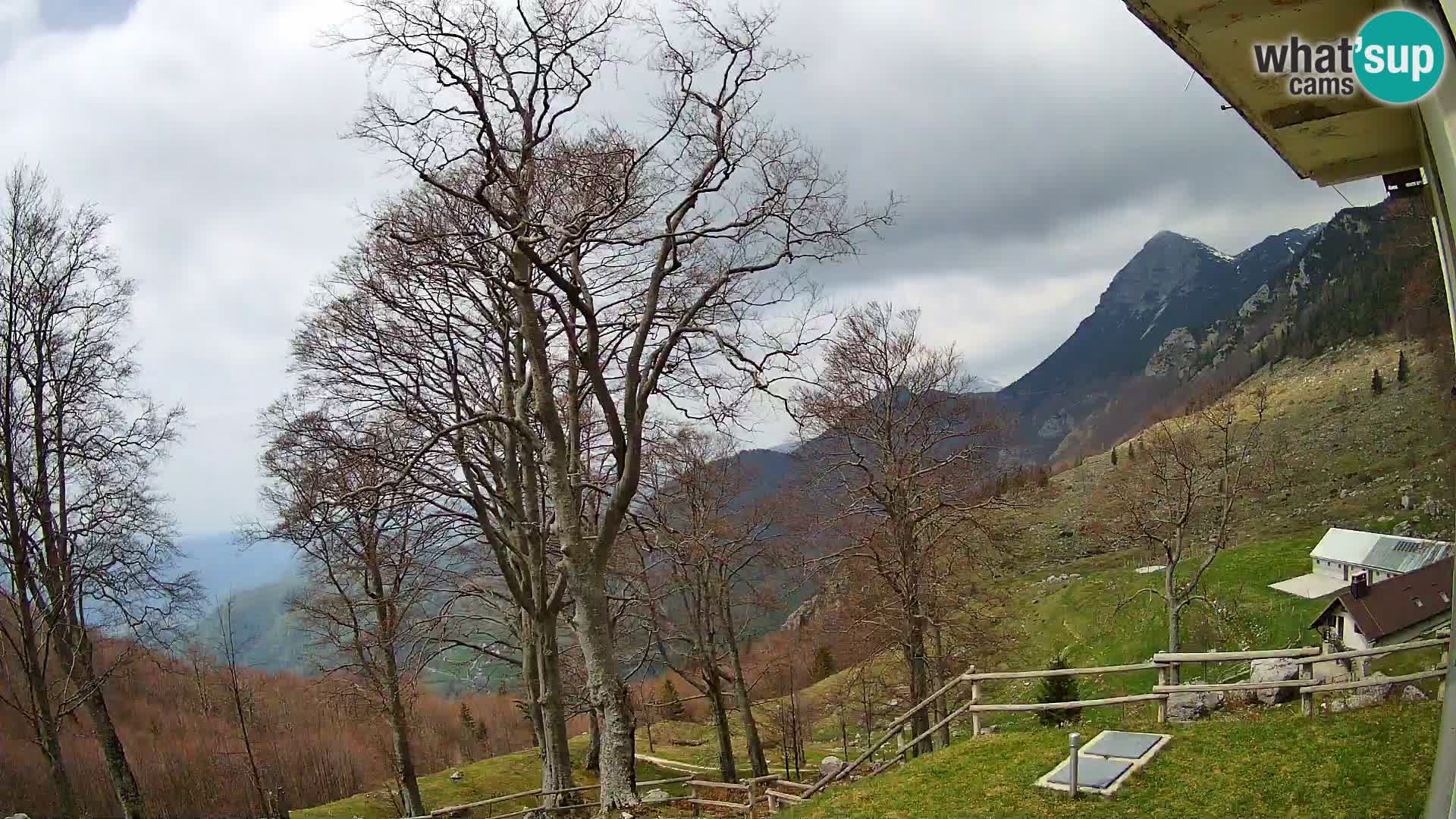 Planina Razor Mountain Hut live cam (1315) | view to Tolminski Migovec