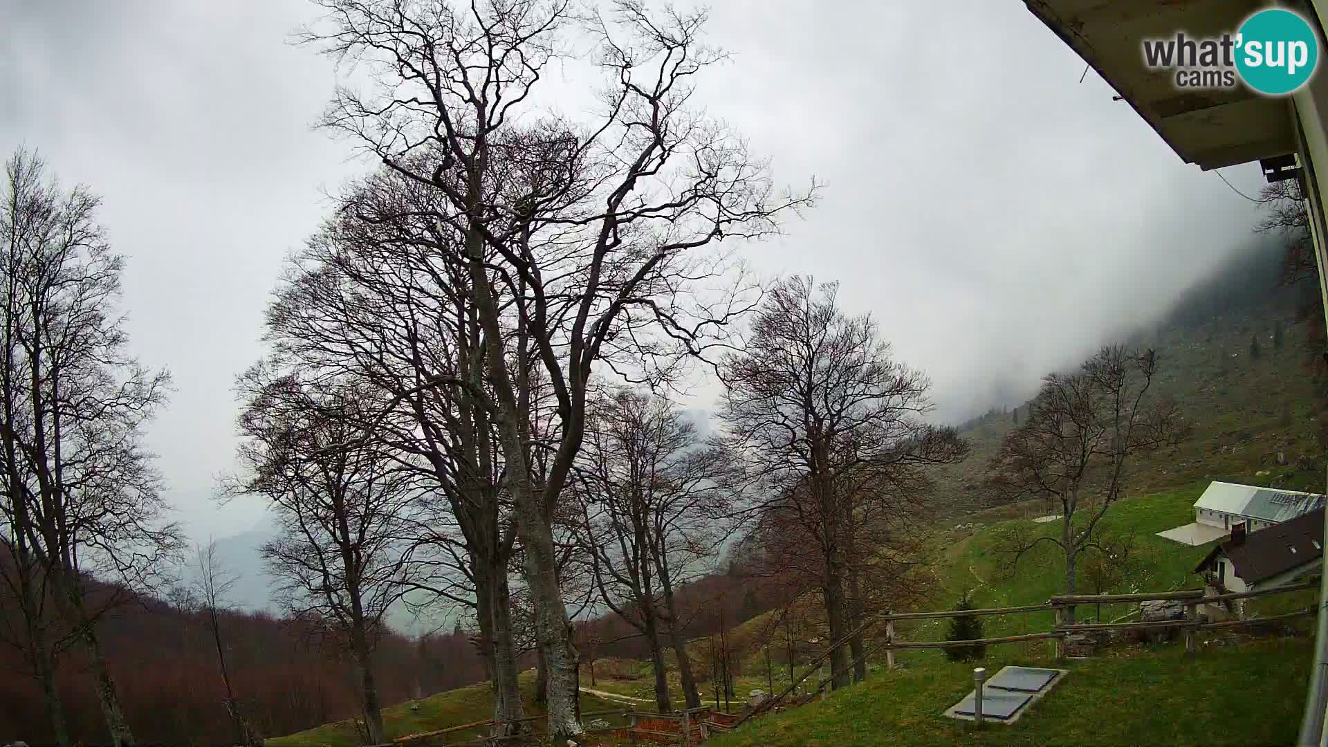 Koča na Planini Razor spletna kamera (1315) | Pogled na Tolminski Migovec