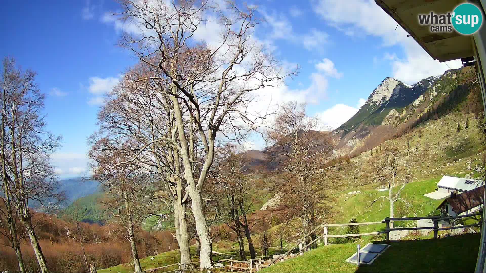 Planina Razor Mountain Hut live cam (1315) | view to Tolminski Migovec