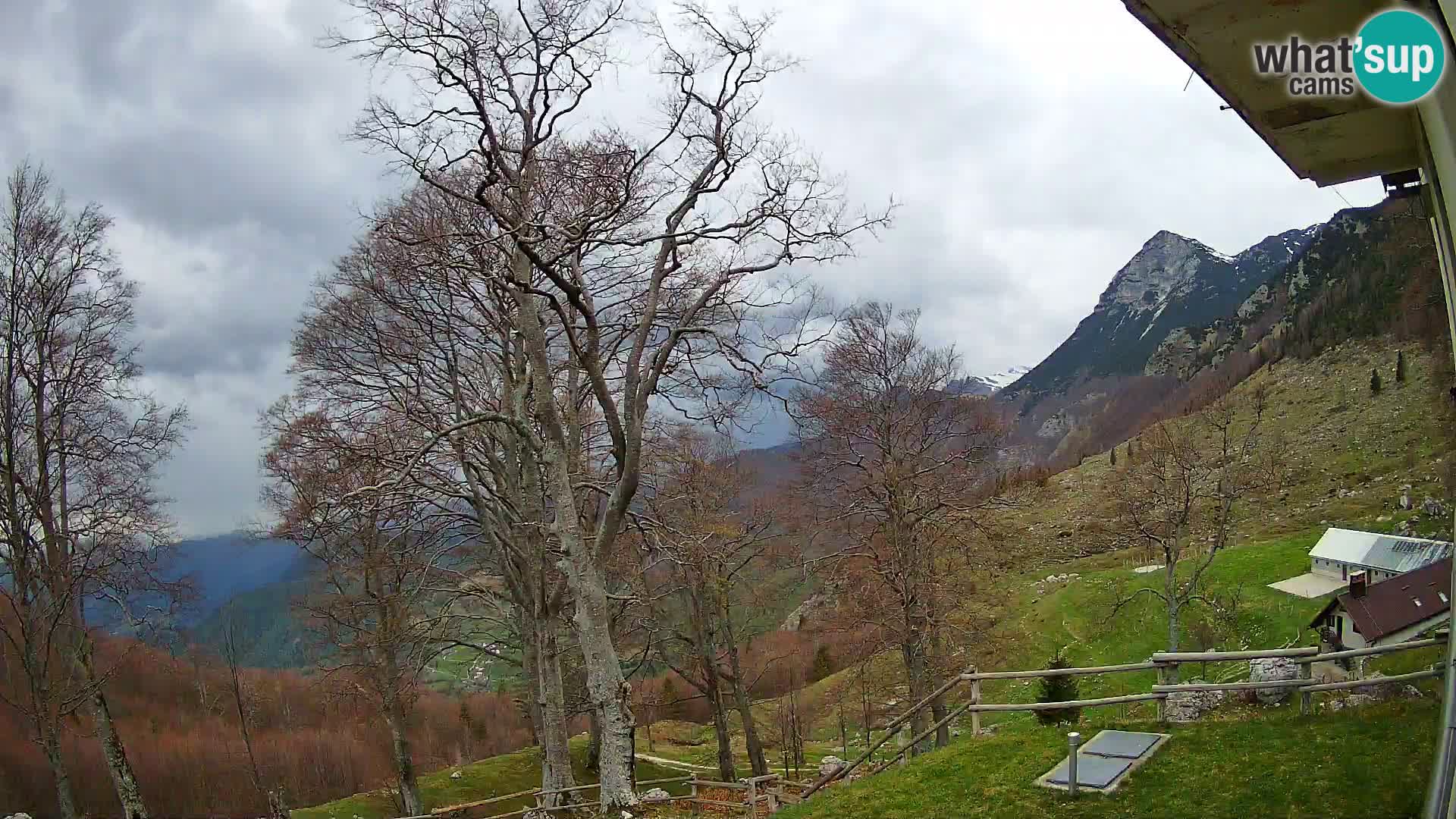 Planina Razor Bergütte Webcam (1315) | Blick auf Tolminski Migovec