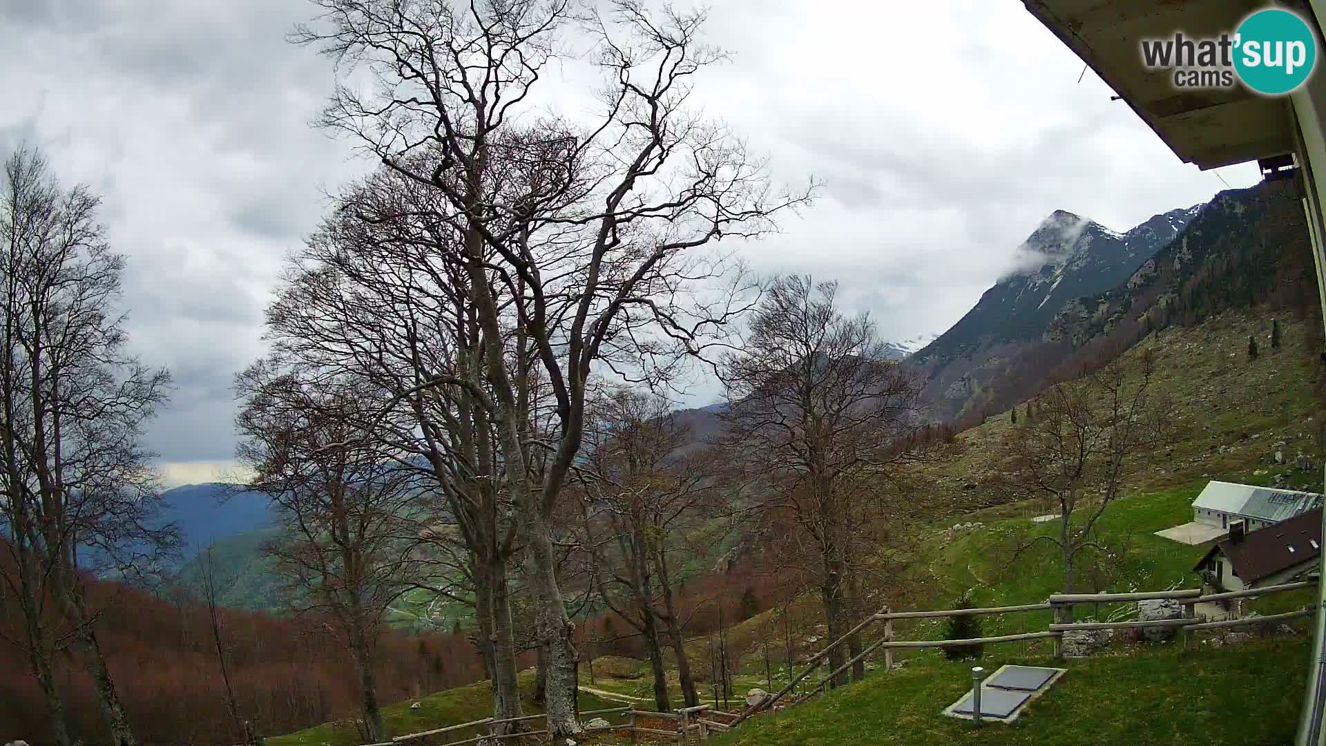 Planina Razor Bergütte Webcam (1315) | Blick auf Tolminski Migovec