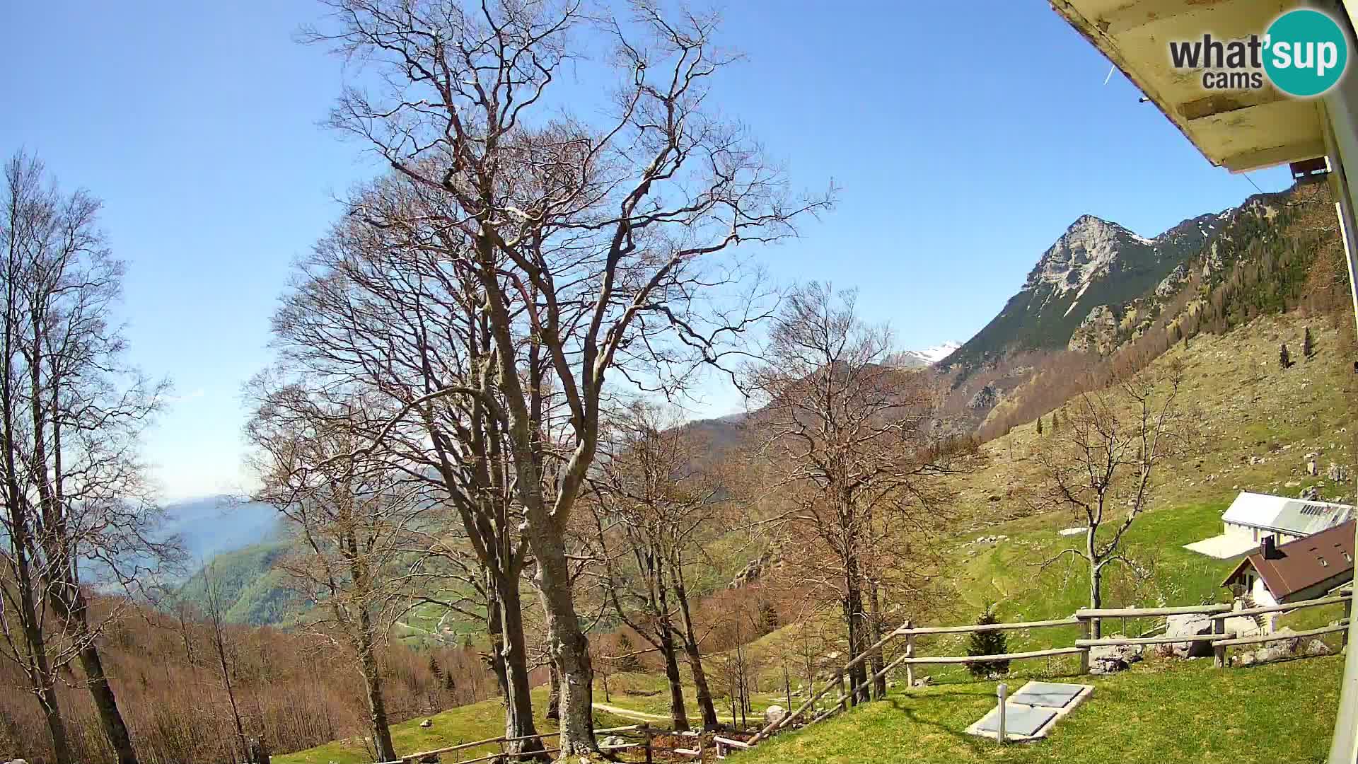 Planina Razor Mountain Hut live cam (1315) | view to Tolminski Migovec