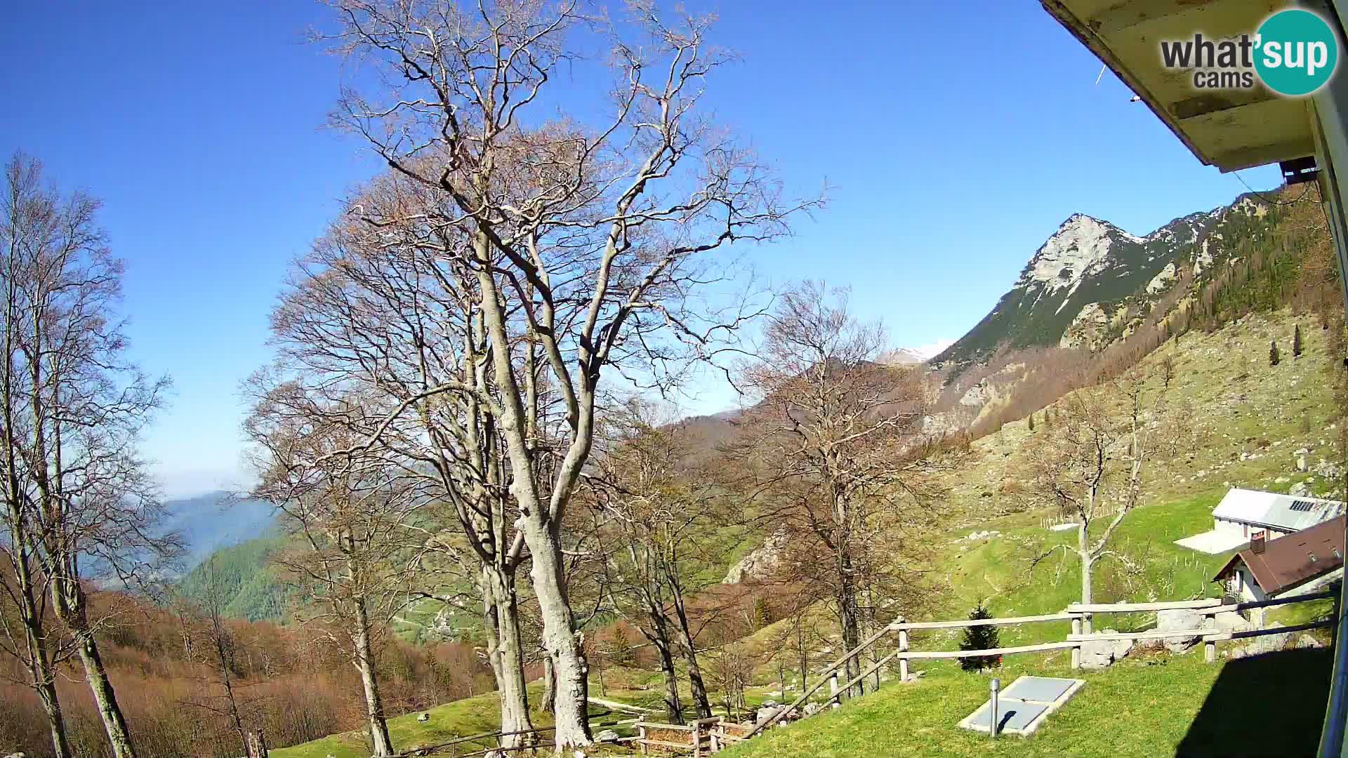 Planina Razor Bergütte Webcam (1315) | Blick auf Tolminski Migovec