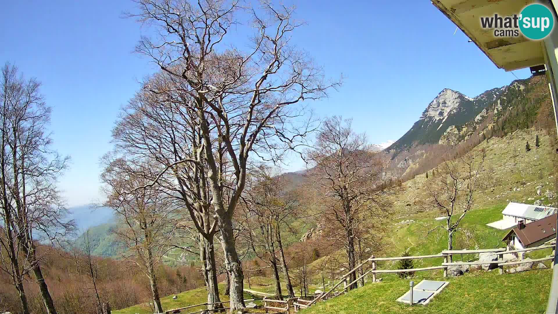 Baita di montagna Planina Razor webcam (1315) | vista su Tolminski Migovec