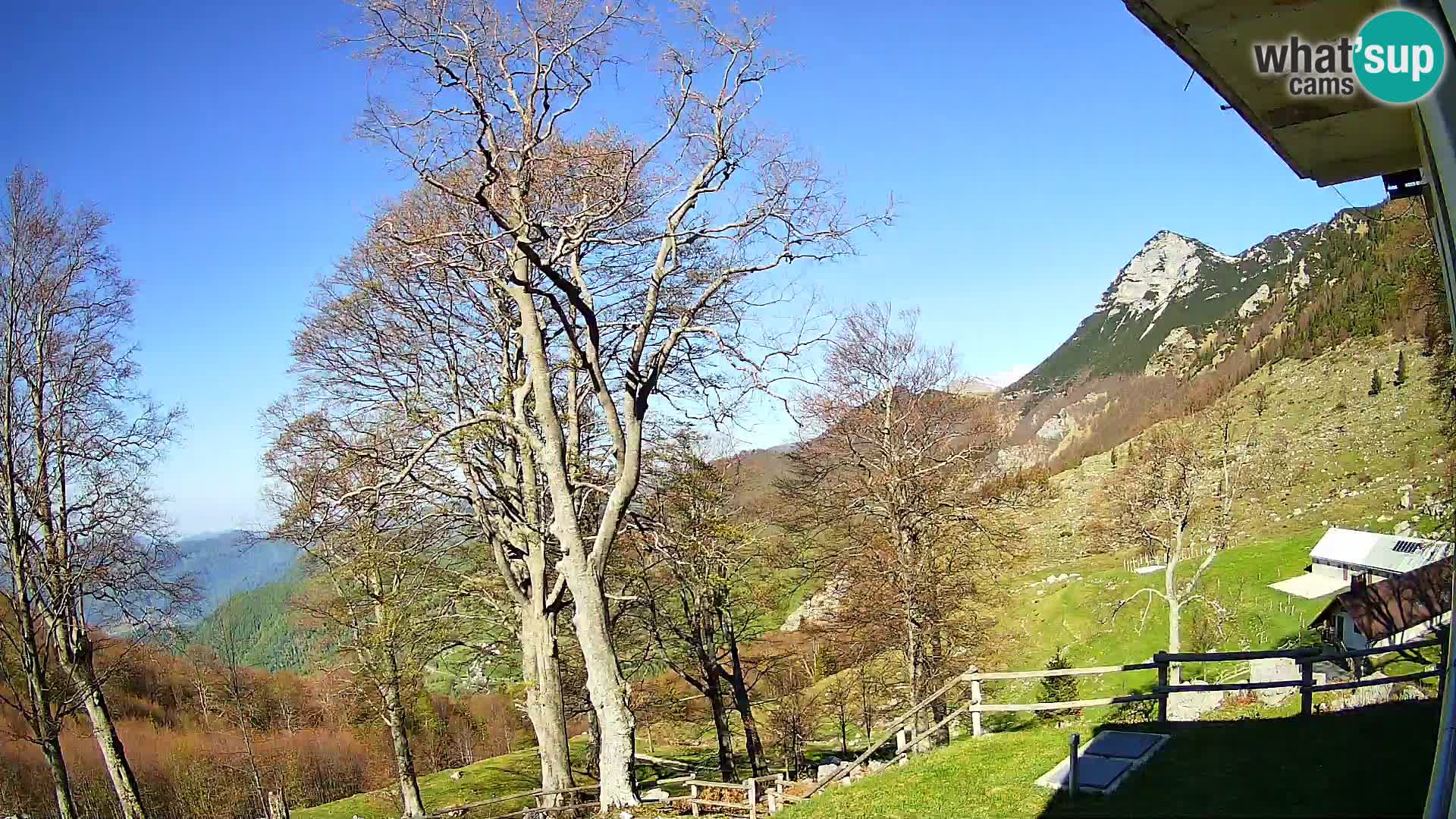 Planina Razor Bergütte Webcam (1315) | Blick auf Tolminski Migovec
