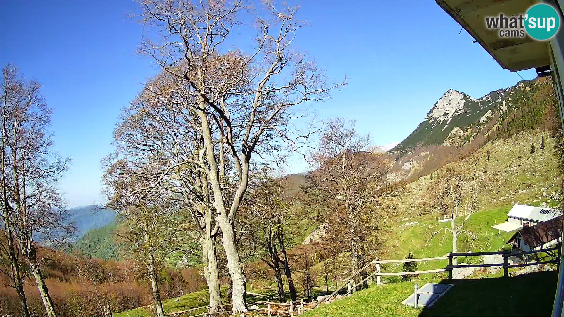 Planina Razor Bergütte Webcam (1315) | Blick auf Tolminski Migovec