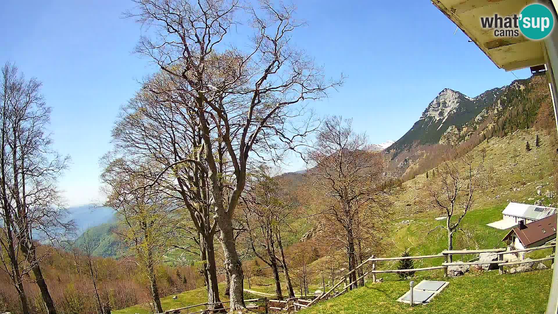 Baita di montagna Planina Razor webcam (1315) | vista su Tolminski Migovec